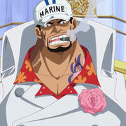akainu