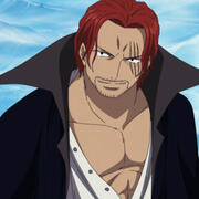 shanks