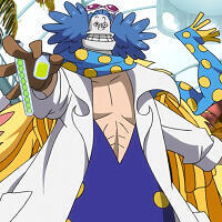 dr. indigo