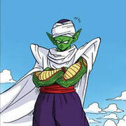 piccolo