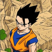 gohan